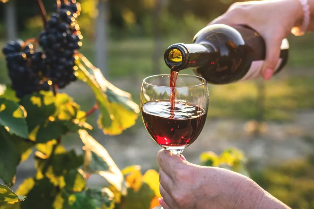 Wine tasting at a Provence estate, red wine poured in the vineyard